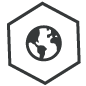 earth-icon